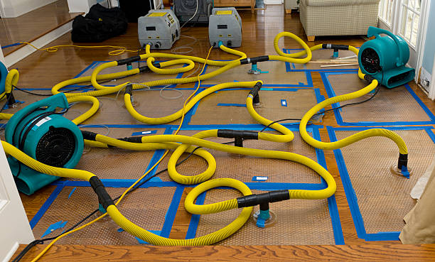Professional Sewage Cleanup technician working in South Lancaster, MA
